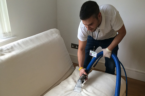 Professional upholstery cleaning